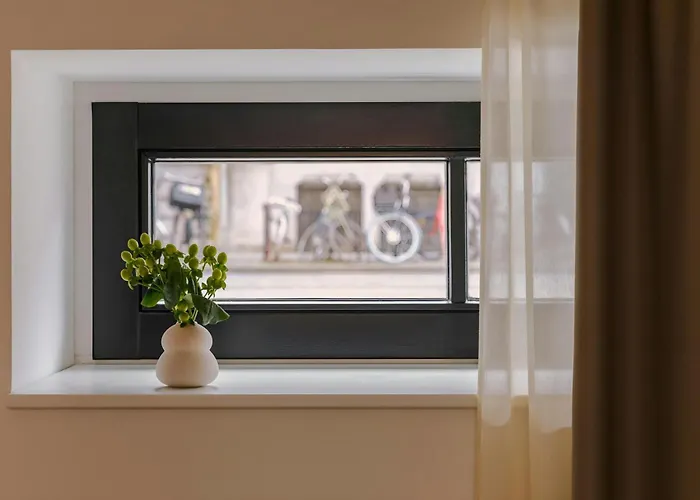 Rose Роттердам