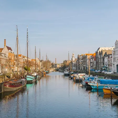 Sonder Rose * Rotterdam