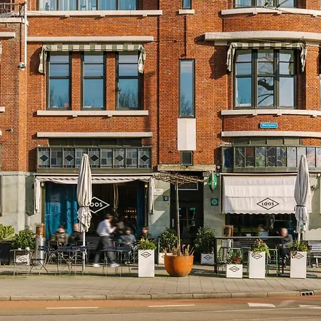 Sonder Rose * Rotterdam