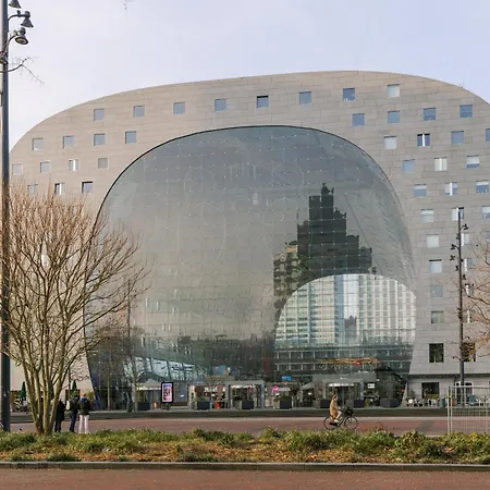 Sonder Rose Rotterdam