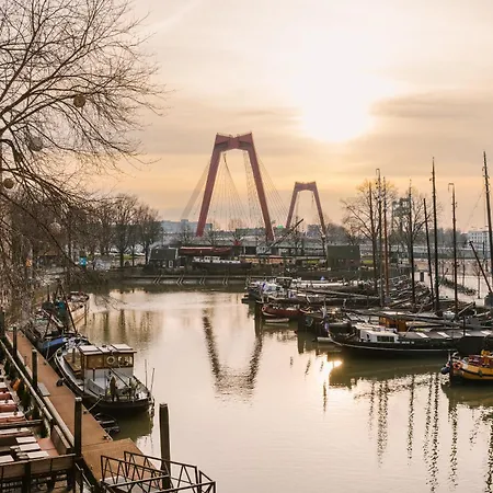 Sonder Rose Rotterdam